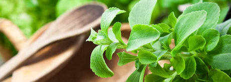 Bliv klogere på sødemidlet, stevia