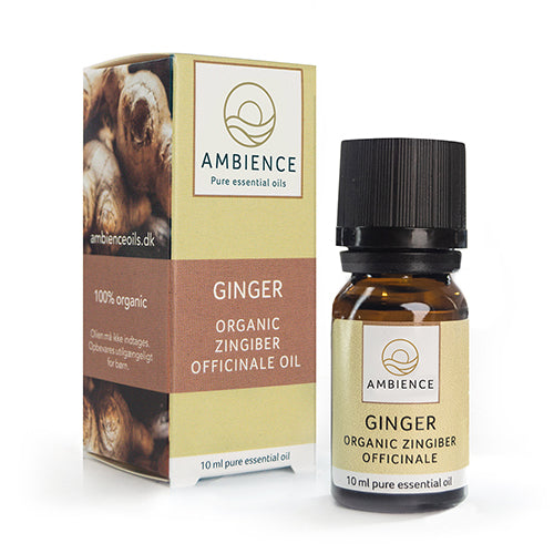 Ambience Ingefær olie, øko fra Ambience
