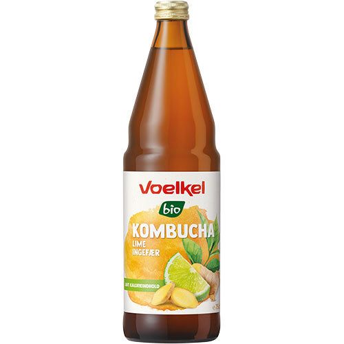 Kombucha Lime - ingefær Ø fra Voelkel