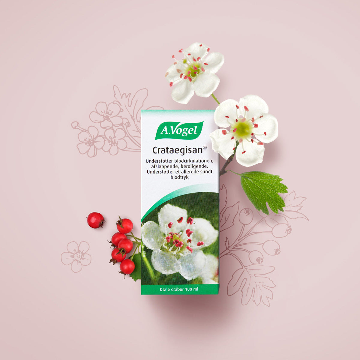 Crataegisan fra A.Vogel