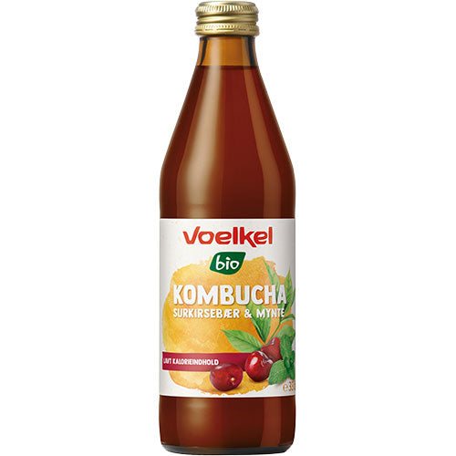 Kombucha Surkirsebær-Mynte Ø fra Voelkel