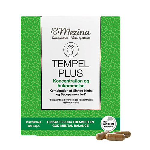 Tempel Plus fra Mezina