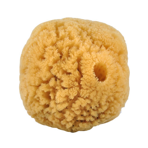 Natursvamp 10-12 cm fra Croll & Denecke