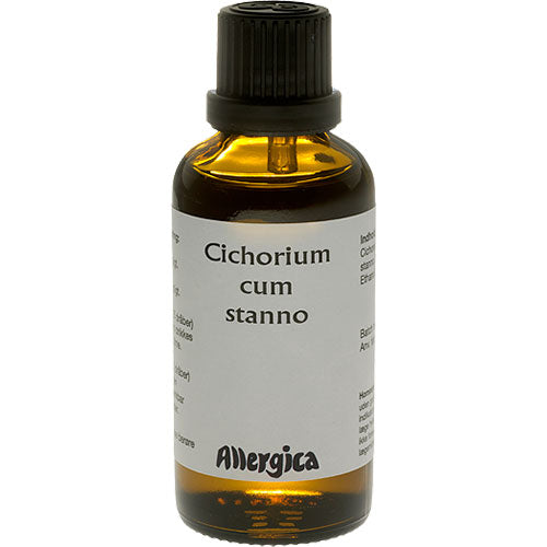 Cichorium cum stanno fra Allergica