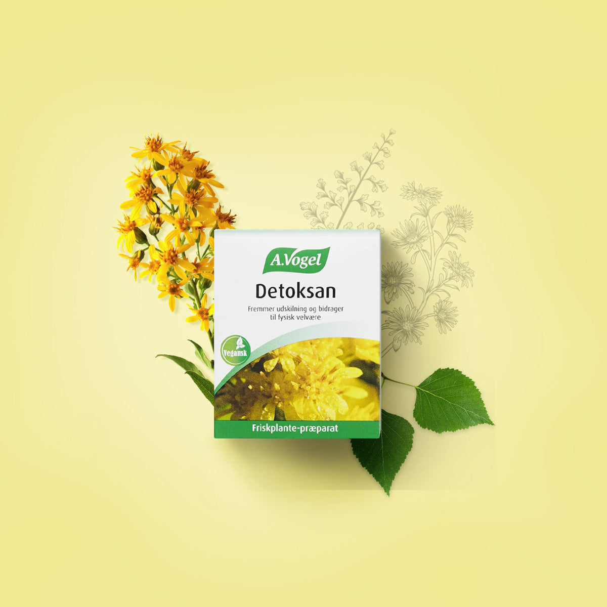 Detoksan fra A.Vogel