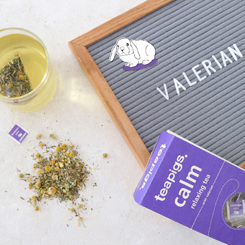 Urtete Calm Ø Teapigs fra Teapigs