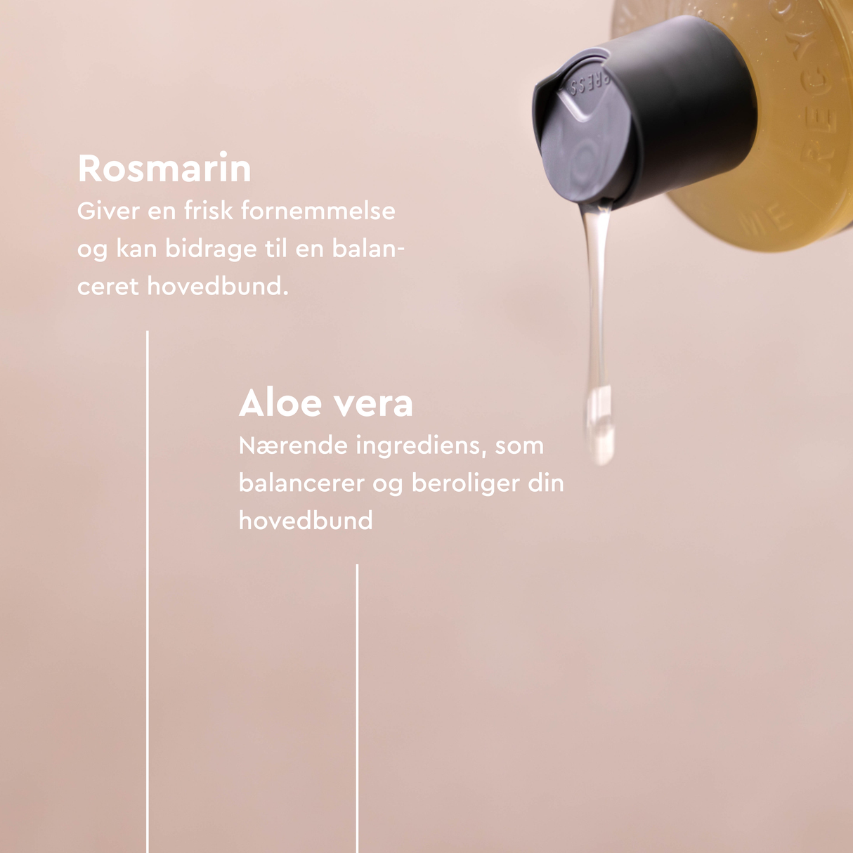 Shampoo - Rosemary - Fine Hair | 250 ml fra Urtekram