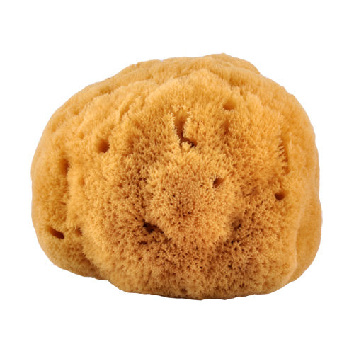 Natursvamp 14-16 cm fra Croll & Denecke