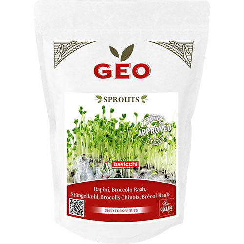 Broccoli Raab til spiring Ø fra GEO