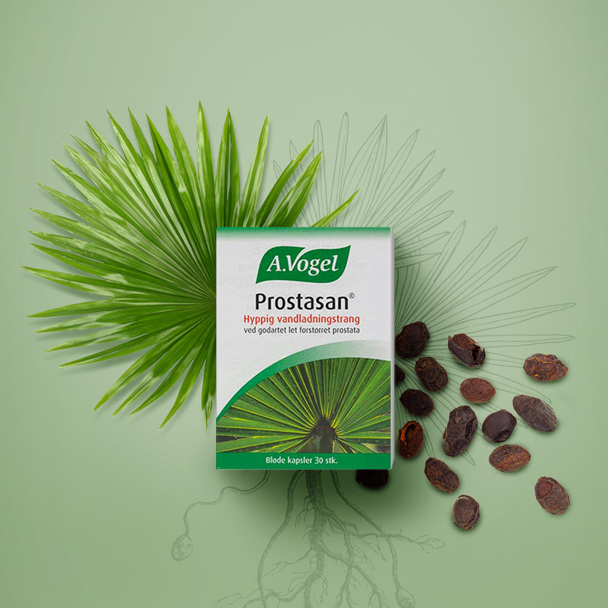 Prostasan fra A.Vogel