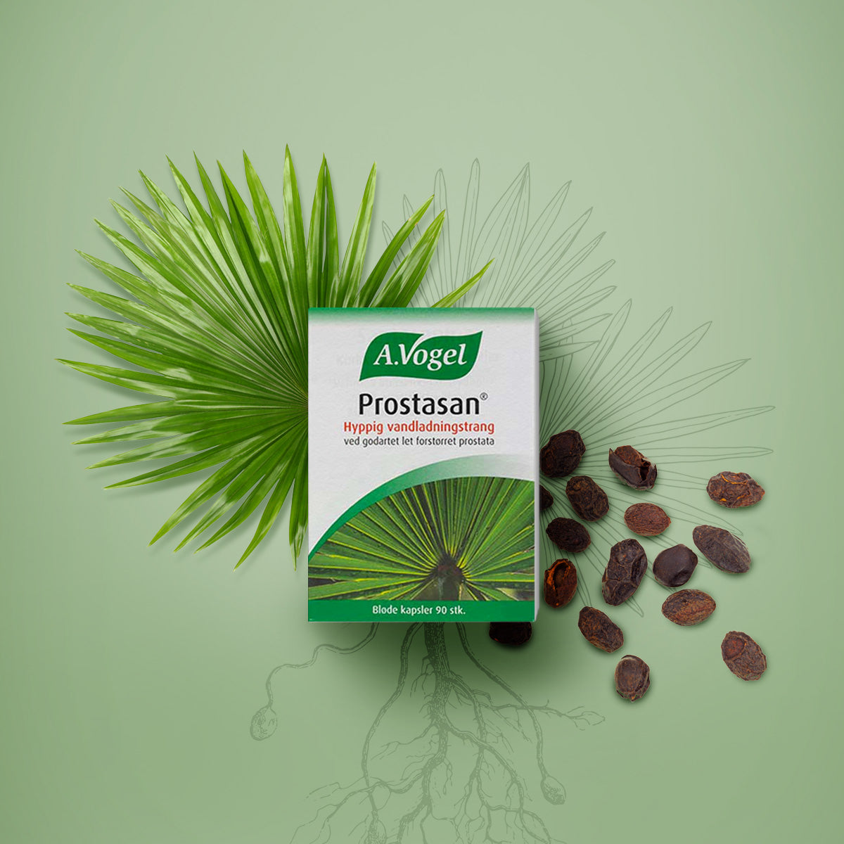 Prostasan fra A.Vogel