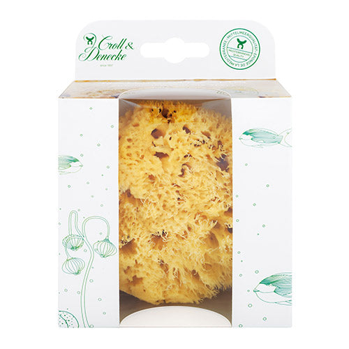 Natursvamp (12 cm) i æske fra Croll & Denecke