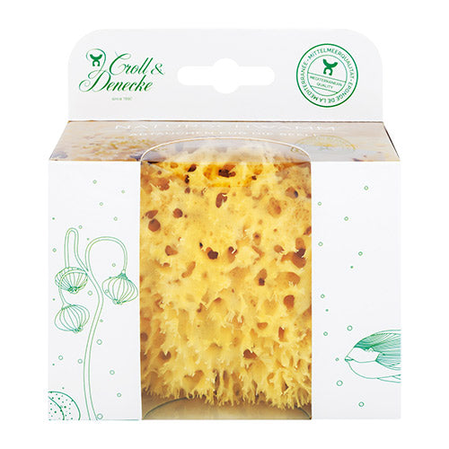 Natursvamp (11 cm) i æske fra Croll & Denecke