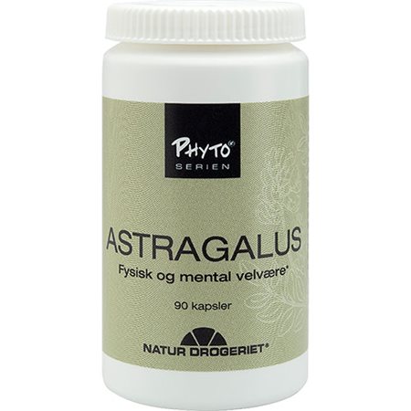 Astragalus