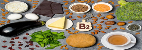 B2-vitamin/riboflavin