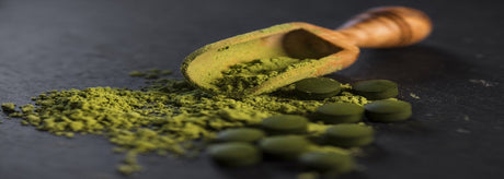 Chlorella kosttilskud