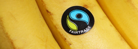 Bliv klogere på fairtrade