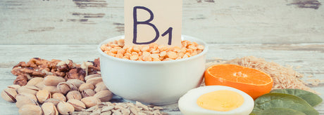 B1 vitamin (thiamin) – Sådan får din krop energi