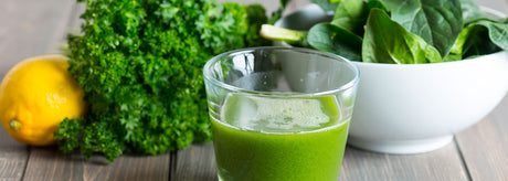 Fastekursus med Nickolai Damgaard