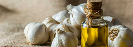 Hvidløg: Krydderi og kosttilskud
