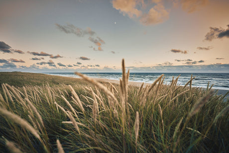 Derfor er magnesium vigtigt for din krop