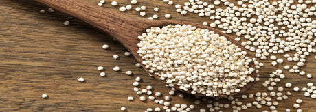 Quinoa kogetid