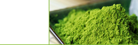 Matcha te