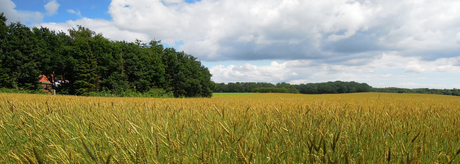 Biodynamiske fødevarer - demeter