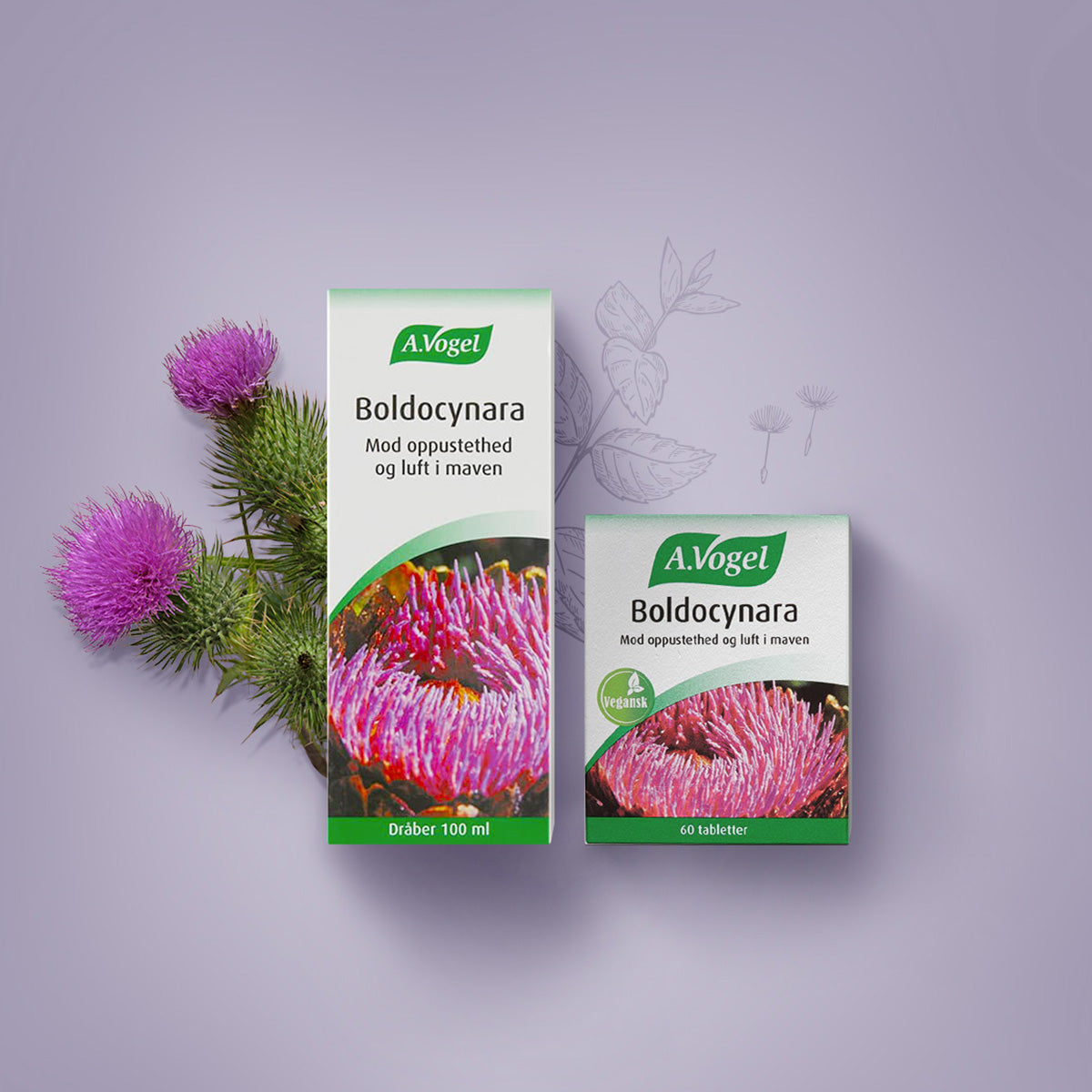 A.Vogel Boldocynara | 60 tabletter