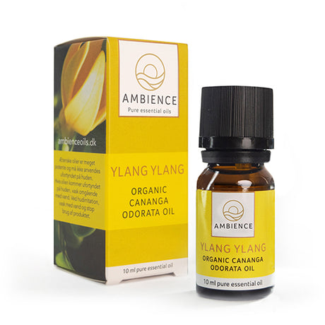 Ambience Ylang ylang olie, øko fra Ambience