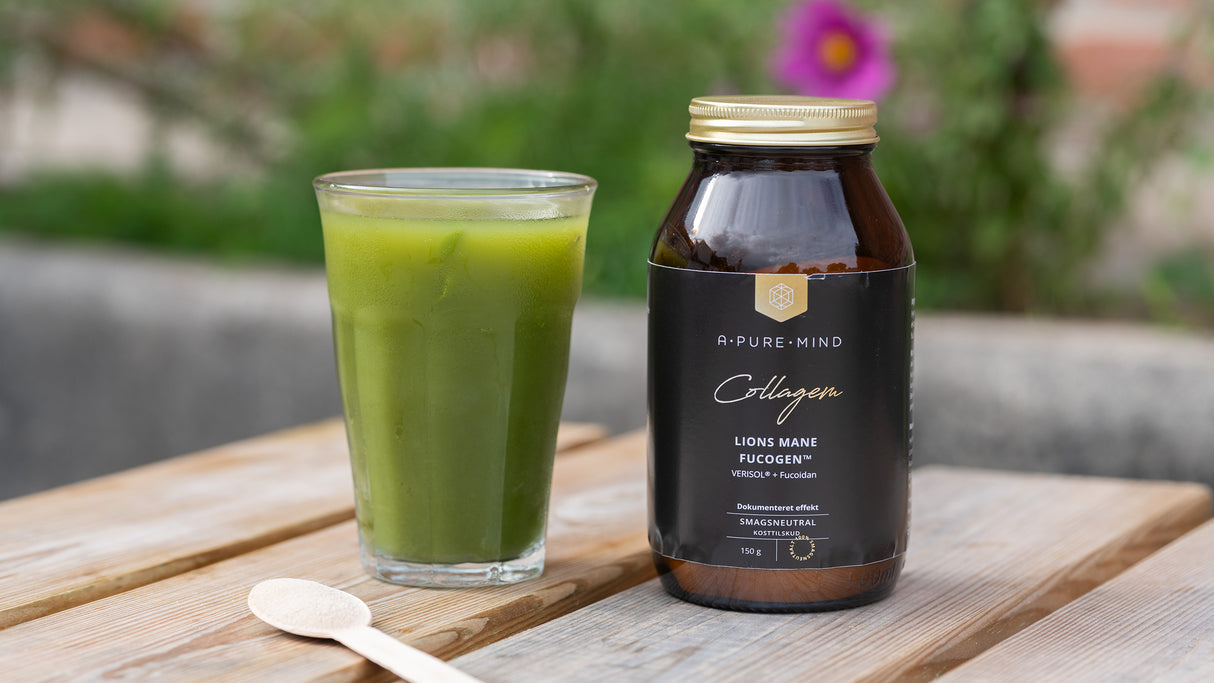 Collagen Lions Mane FucoGen