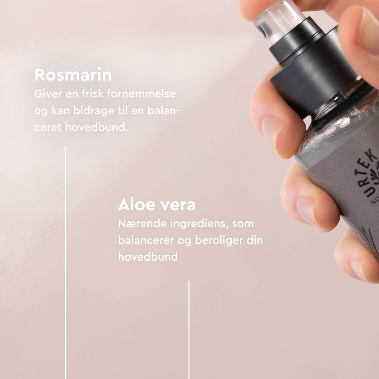 Urtekram Conditioner Spray Rosemary | 250 ml fra Urtekram