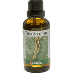 Fucus comp.