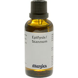 Epifysis, Stannum fra Allergica
