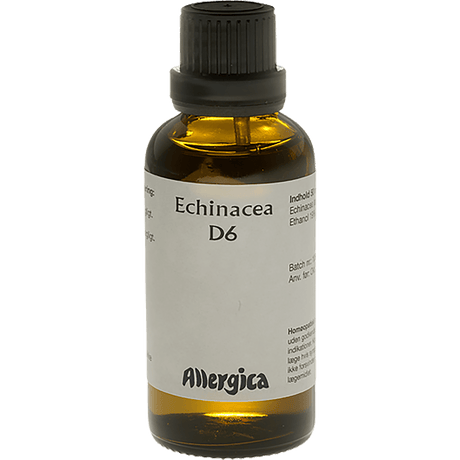 Allergica Echinacea D6 | 50 ml
