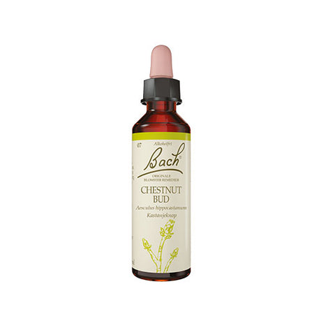 Bach Kastanieknop fra Bach Originale Blomsterremedier