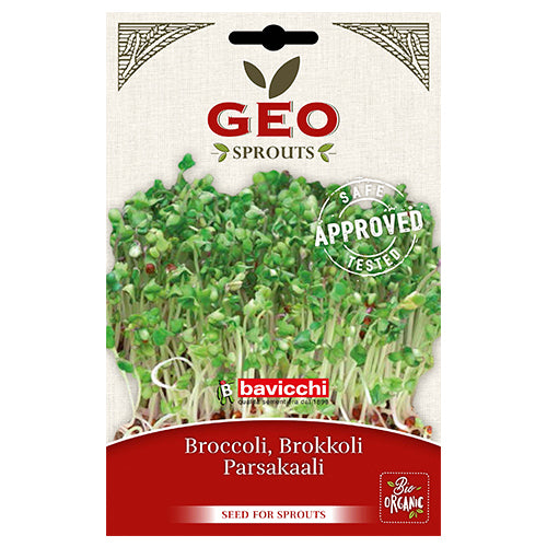 Broccolifrø til spiring Ø fra GEO