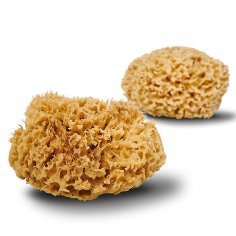 Natursvamp Honeycomb 12 cm fra Cocoon