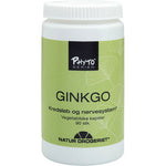 Ginkgo