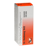 Dr. Reckeweg R 42 fra Dr. Reckeweg