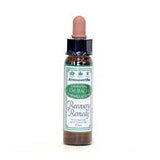 Dr. Bach Recovery remedy fra Dr. Bach