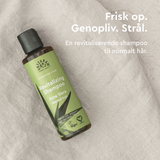 Urtekram Shampoo Aloe Vera | 250 ml fra Urtekram