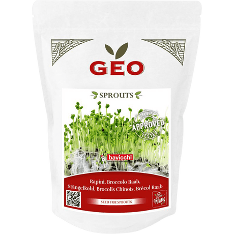 GEO Broccoli Raab Til Spiring Økologisk | 500 g fra GEO