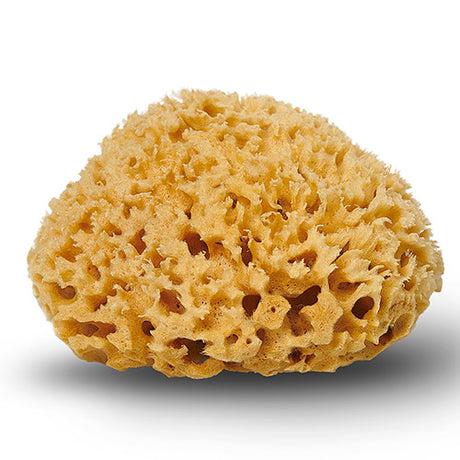 Natursvamp Honeycomb 10-11 cm fra Cocoon
