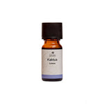 Fischer Pure Nature Kaktus Duftolie | 10 ml