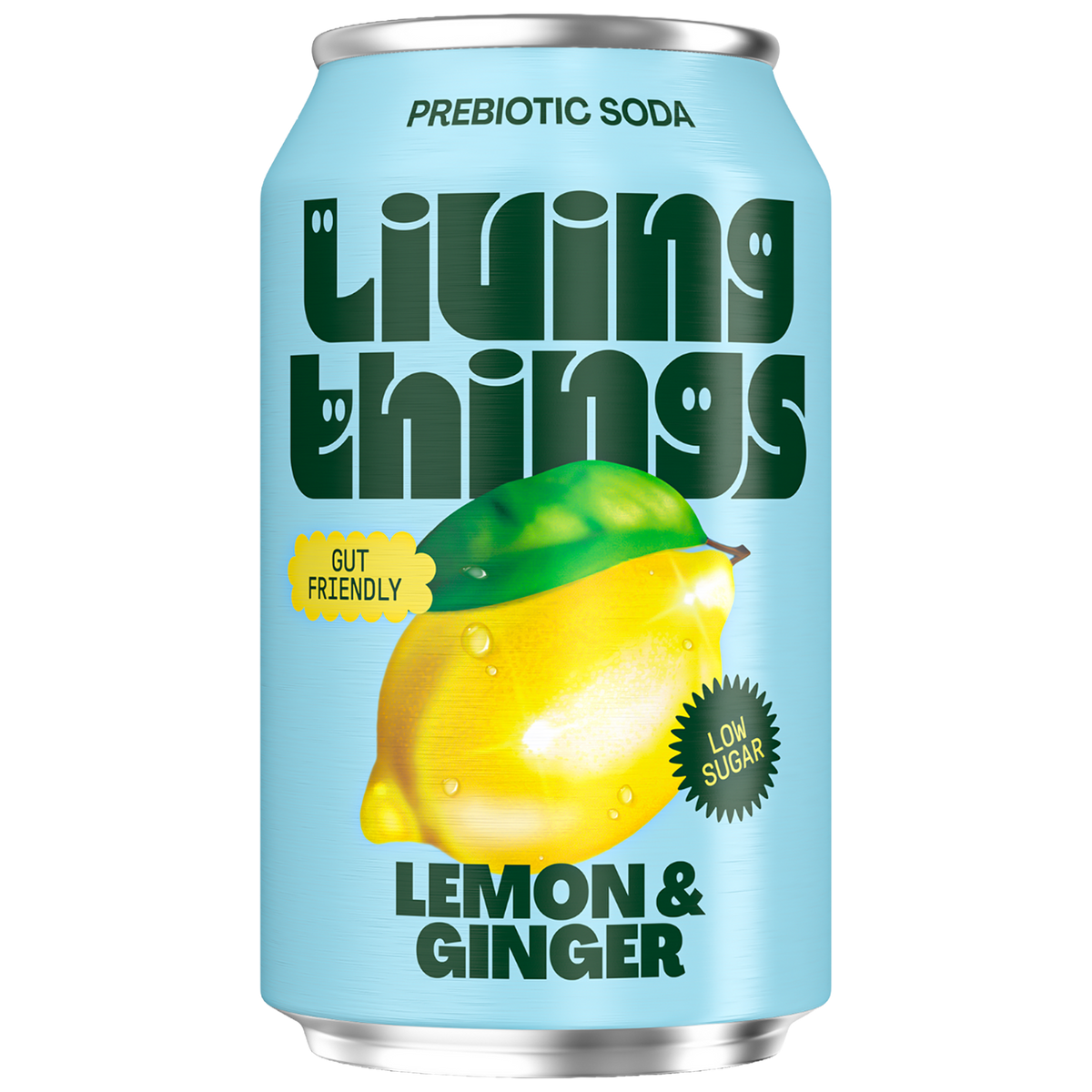 Lemon & Ginger Soda