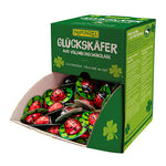 Mariehøns chokolade Ø ca. 160 stk