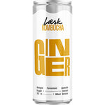 Læsk Kombucha Ginger Ø
