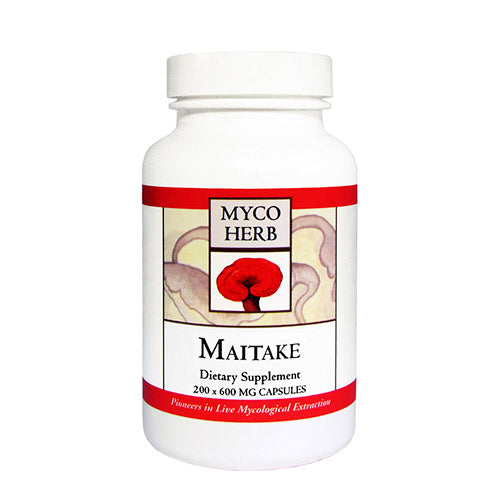 Maitake fra MycoHerb