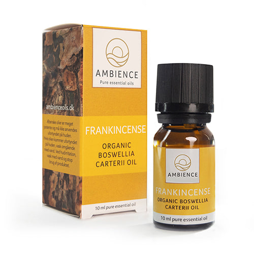 Ambience Frankincense olie, øko fra Ambience